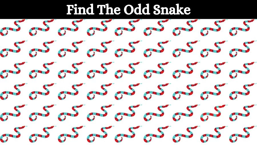 Optical Illusion: If you have Eagle Eyes find the Odd Snake