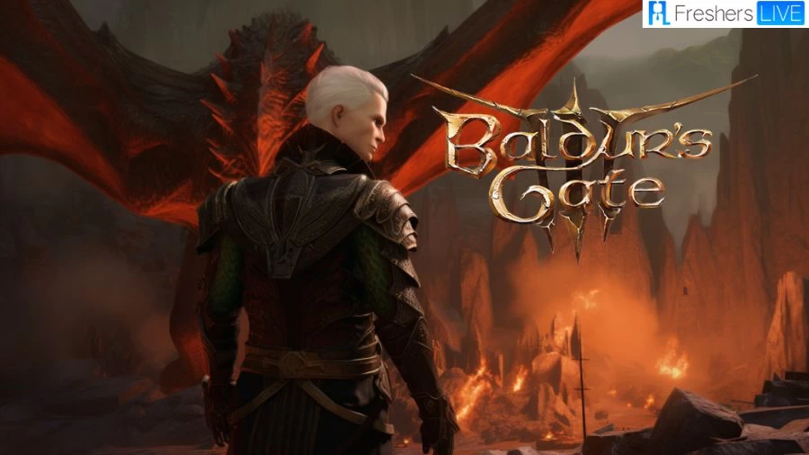 Baldurs Gate 3 Find Your Belongings, How to Find Your Belongings in Baldurs Gate 3?