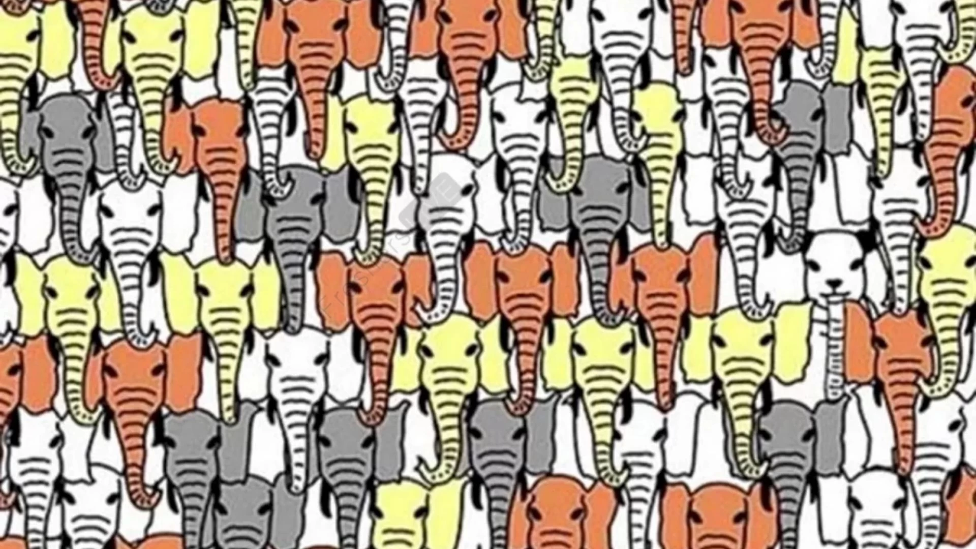 You Have Only 10 Seconds To Find The Panda Among These Elephants. Your Time Starts Now!