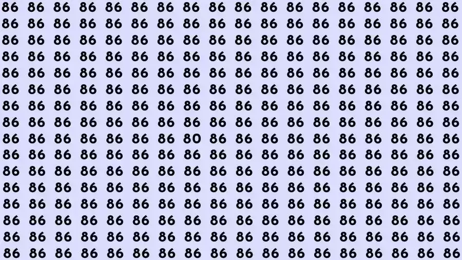Observation Brain Challenge: If you have Sharp Eyes Find the number 80 among 86 in 12 Seconds?
