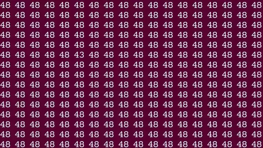 Observation Skill Test: If you have Eagle Eyes Find the number 43 among 48 in 10 Seconds?