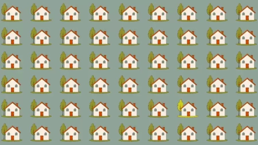 Observation Skills Test: Can you find the Odd House in 10 Seconds?