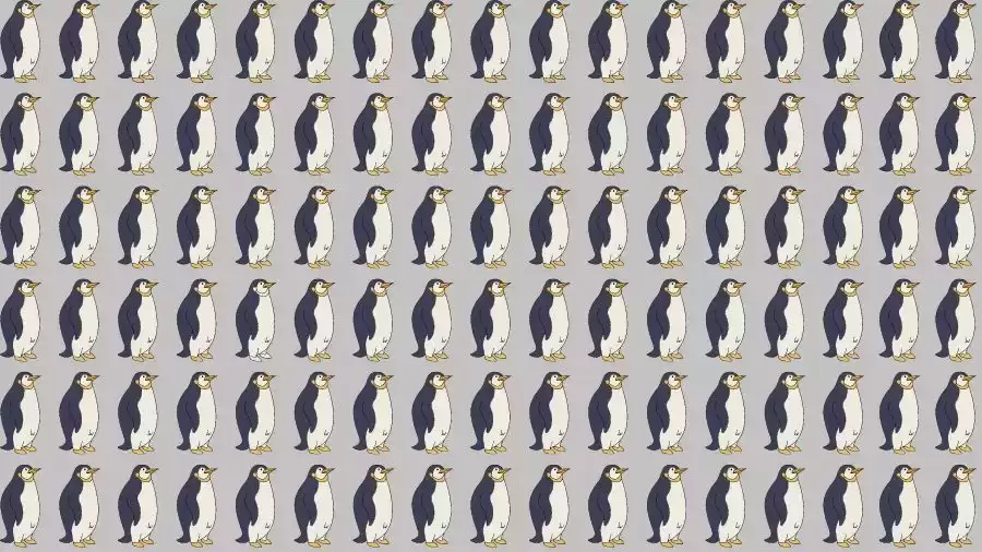 Observation Skills Test: Can you find the Odd Penguin in 10 Seconds?