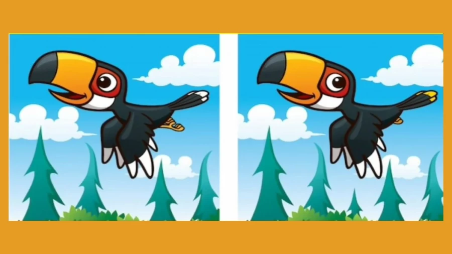 Do you have razor-sharp eyes? Spot 3 differences between Mom and Child Owl pictures in 15 seconds!