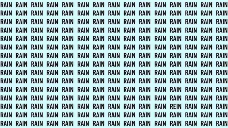 Observation Skill Test: If you have Eagle Eyes find the word Rein among Rain in 10 Secs