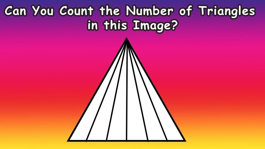 Brain Teaser Eye Test: Can You Count the Number of Triangles in this Image?