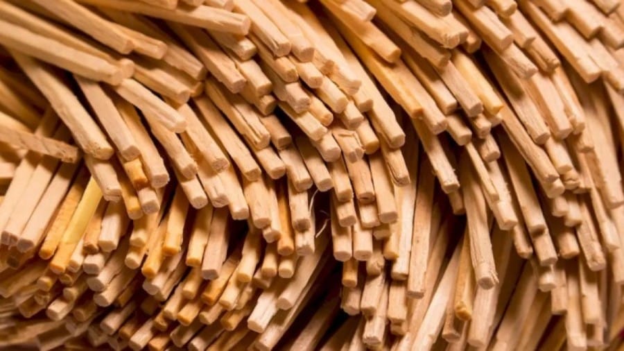 Optical Illusion: Finding the French Fry among these Wooden Sticks is not easy. Do you want to try it?