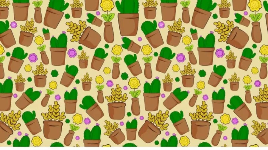 Optical Illusion For Visual Test: Can You Find The Button Among These Flowers In Less Than 20 Seconds?