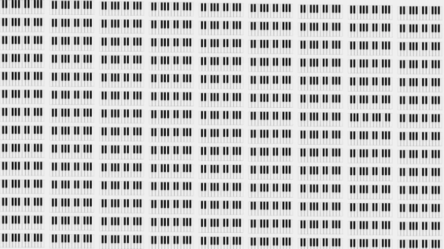 Optical Illusion Eye Test: Only 1% Can Spot The Hidden Glove In the Christmas Hall Picture within 7 secs!