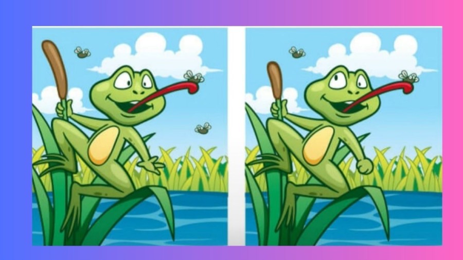 Spot the Difference Picture puzzle: Only smart people can spot 3 differences in this Image in 12 seconds