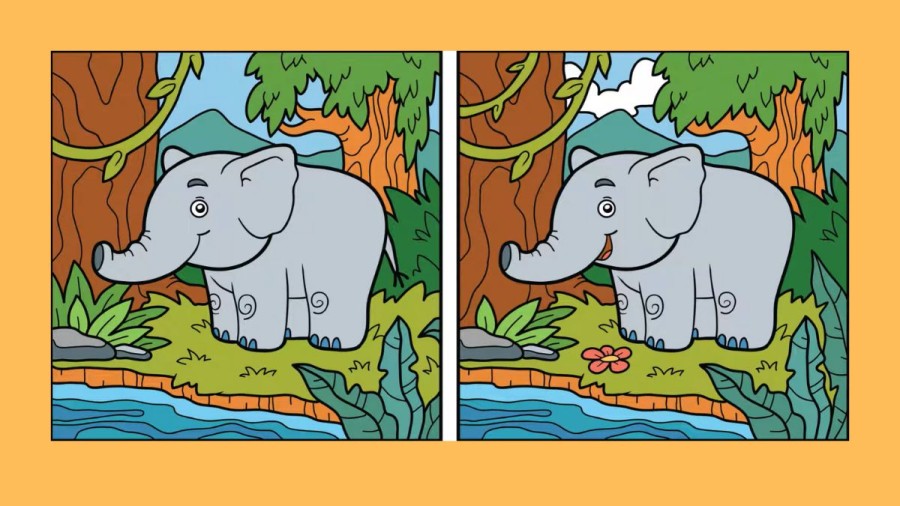 Optical Illusion Find and Seek Picture Puzzle: Only the cleverest minds can spot 3 differences between the Nurse pictures in 9 seconds