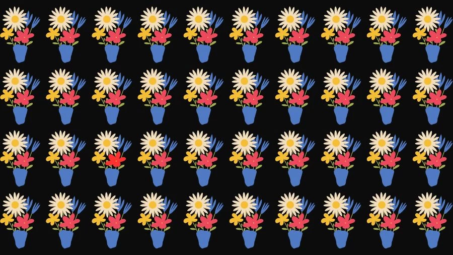Optical Illusion Brain Test: If you have Eagle Eyes find the Odd Flower vase in 15 Seconds