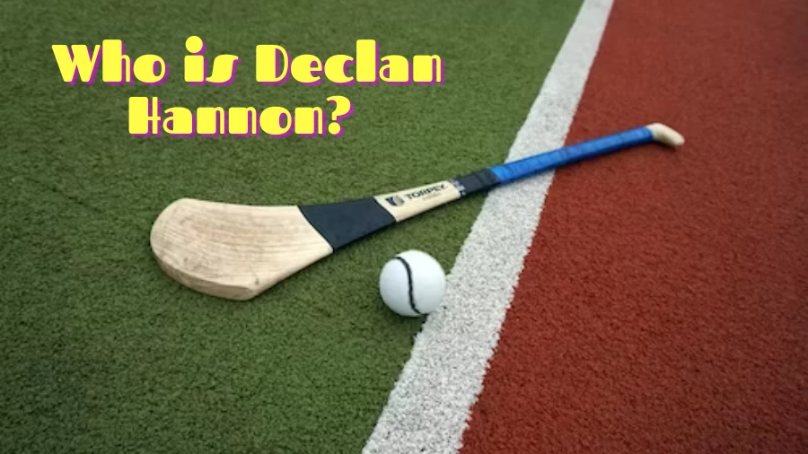 Who is Declan Hannon? Declan Hannon Bio, Playing Career, Statistics, Honours